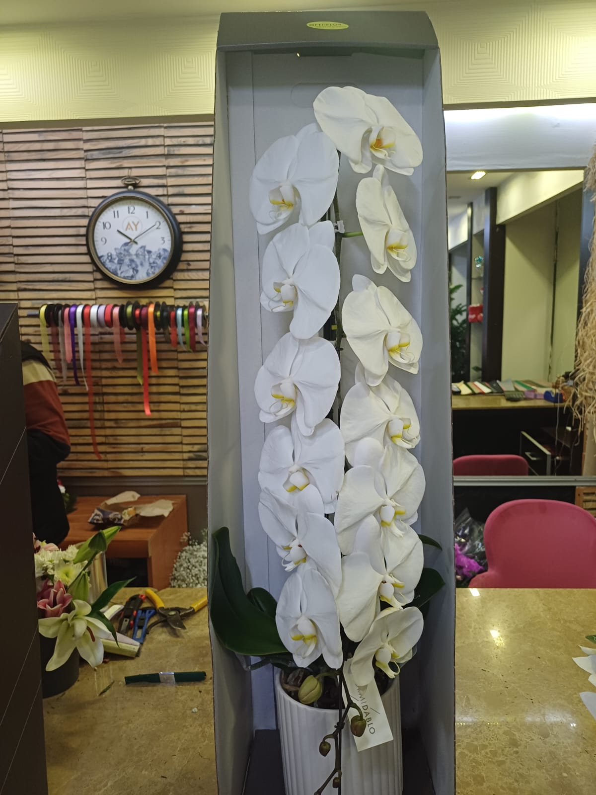 Çimen Çiçekçilik